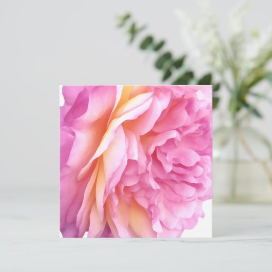 Roze Engelse Roos Bloem Bloemblaadjes Blank Feestdagenkaart (Staand voorkant)