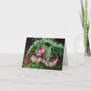 Roze engelvleugelbeitjes feestdagen kaart