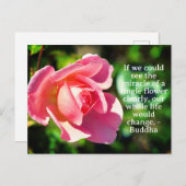 Roze Enig Roos Motivatie Citaat Briefkaart (Voorkant / Achterkant)