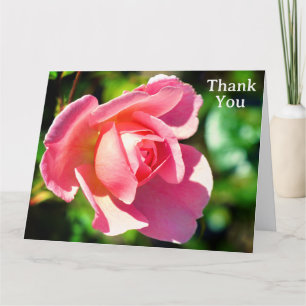Roze Enkele Roos Fotografie Bedankkaart