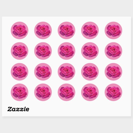 Roze enkele rozen ronde sticker (Vel)