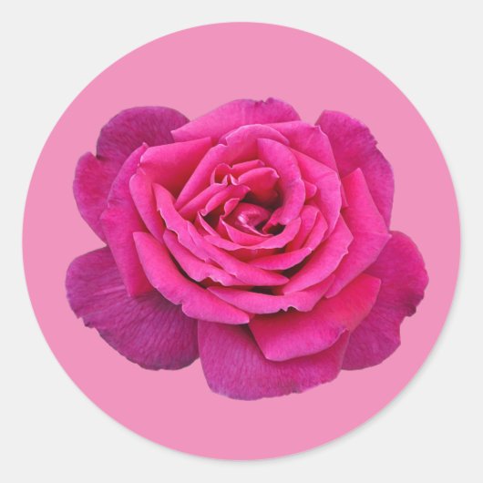 Roze enkele rozen ronde sticker (Voorkant)