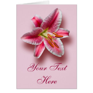 Roze enkele Stargazer Lily