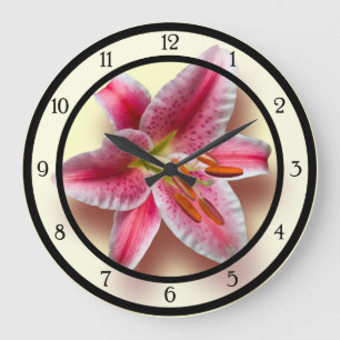 Roze enkele Stargazer Lily Grote Klok