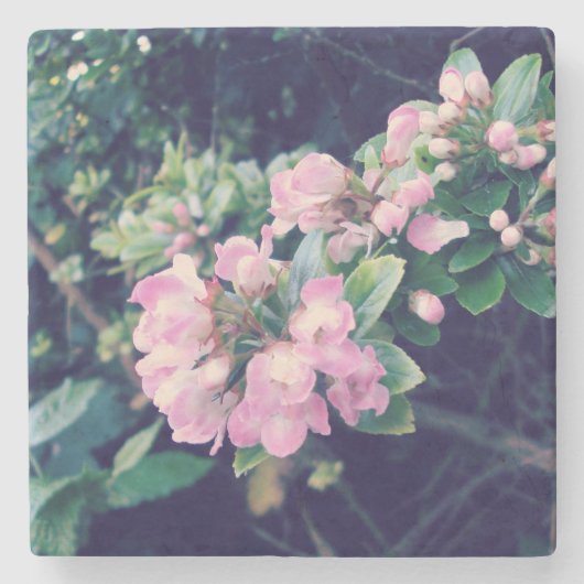 Roze Escallonia Floral Stenen Onderzetter (Voorkant)