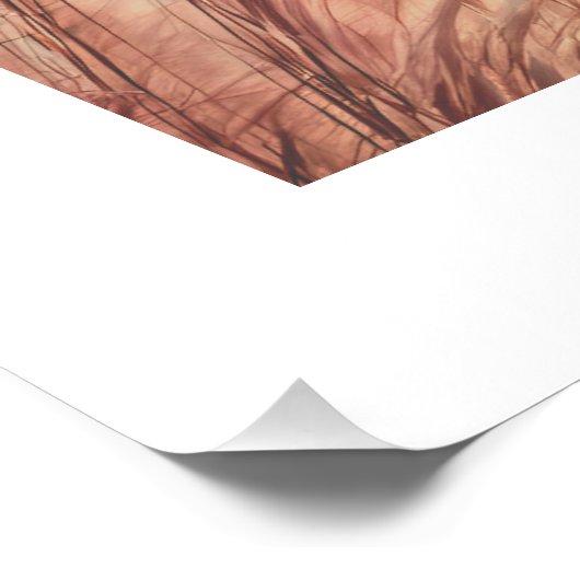 Roze esthetische pampa's perfect poster (Hoek)