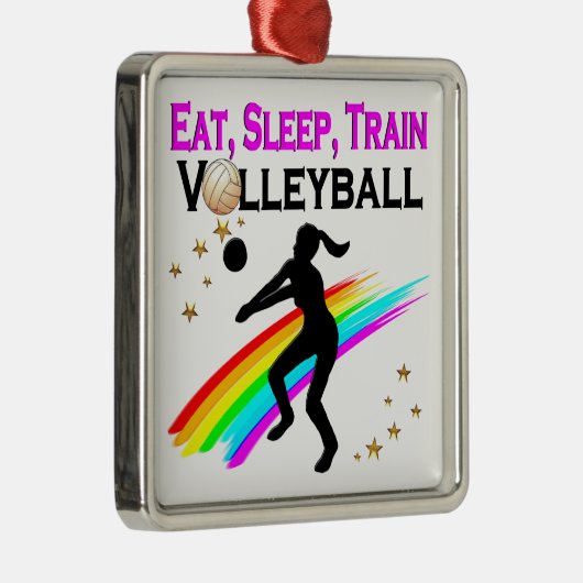 ROZE ETEN, SLAPEN, VOLLEYBAL TRAINEN METALEN ORNAMENT (Rechts)