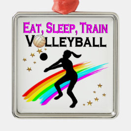 ROZE ETEN, SLAPEN, VOLLEYBAL TRAINEN METALEN ORNAMENT