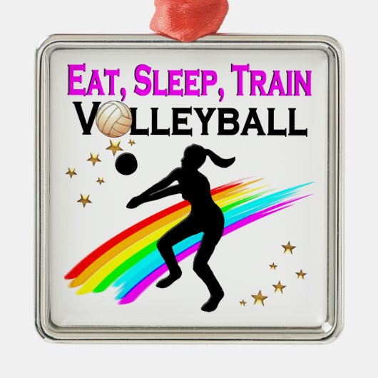 ROZE ETEN, SLAPEN, VOLLEYBAL TRAINEN METALEN ORNAMENT (Voorkant)