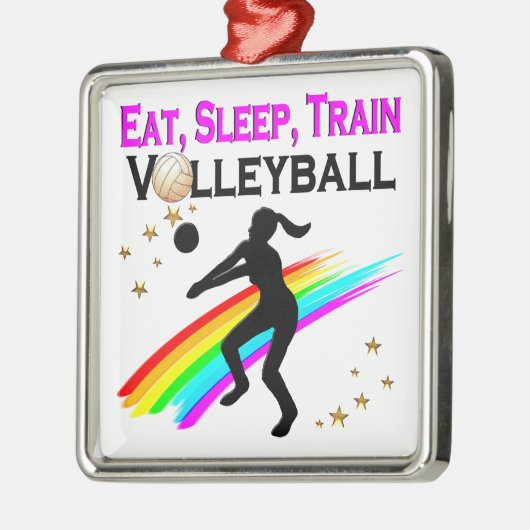 ROZE ETEN, SLAPEN, VOLLEYBAL TRAINEN METALEN ORNAMENT (Links)