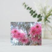 Roze Eucalyptus Flowers Briefkaart (Staand voorkant)
