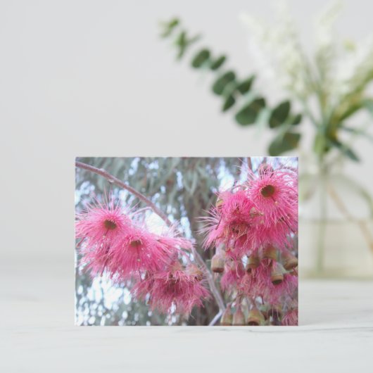 Roze Eucalyptus Flowers Briefkaart (Staand voorkant)