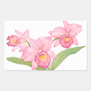 Roze exotische Waterverf Flowers Rechthoekige Sticker