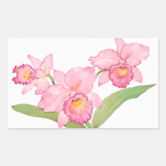 Roze exotische Waterverf Flowers Rechthoekige Sticker (Voorkant)