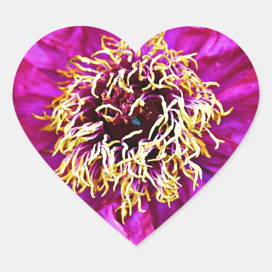 Roze explosie hart sticker (Voorkant)