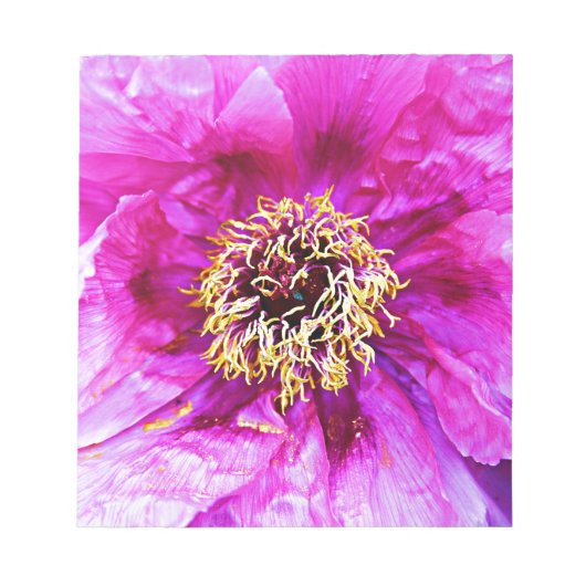 Roze explosie notitieblok (Voorkant)