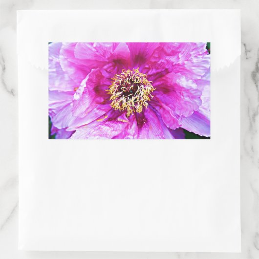 Roze explosie rechthoekige sticker (Tas)