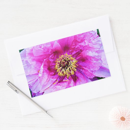 Roze explosie rechthoekige sticker (Envelop)