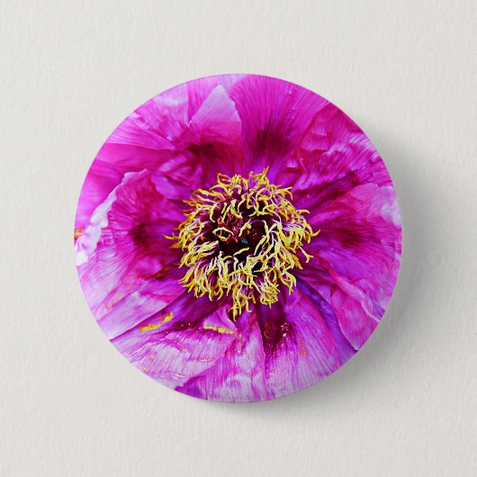 Roze explosie ronde button 5,7 cm (Voorkant)