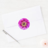 Roze explosie ronde sticker (Envelop)