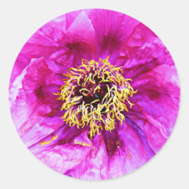 Roze explosie ronde sticker