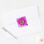 Roze explosie vierkante sticker (Envelop)