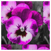 Roze Fabelachtig Viooltje Stof (Close Up)