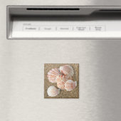 Roze Fan Shells Magneet (Insitu (Vaatwasser))