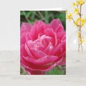 Roze Fancy Tulp, Moederdag Kaart (Gele Bloem)