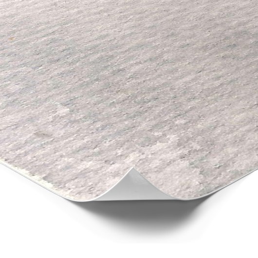 Roze fantasy Butterfly op Daisy Poster (Hoek)