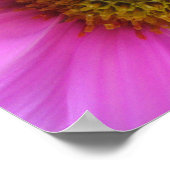 Roze fantasy - Poster (Hoek)