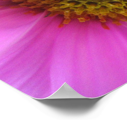 Roze fantasy - Poster (Hoek)