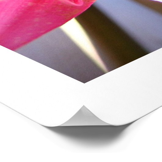 Roze februari poster (Hoek)