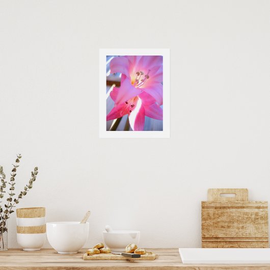 Roze februari poster (Keuken)
