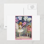 Roze Fee Briefkaart (Voorkant / Achterkant)
