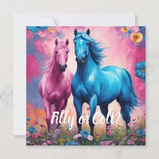 Roze filly & Blue Colt Western Stijl Geslacht Kaart (Voorkant)