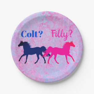 Roze filly & Blue Colt Western Stijl Geslacht Papieren Bordje
