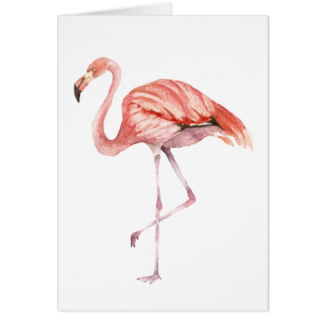 Roze Flamingo (Voorkant)