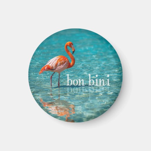 Roze flamingo abc-eilanden magneet (Voorkant)