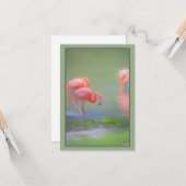 Roze Flamingo Artistic Blank Notecard Kaart (Voorkant / Achterkant in situ)