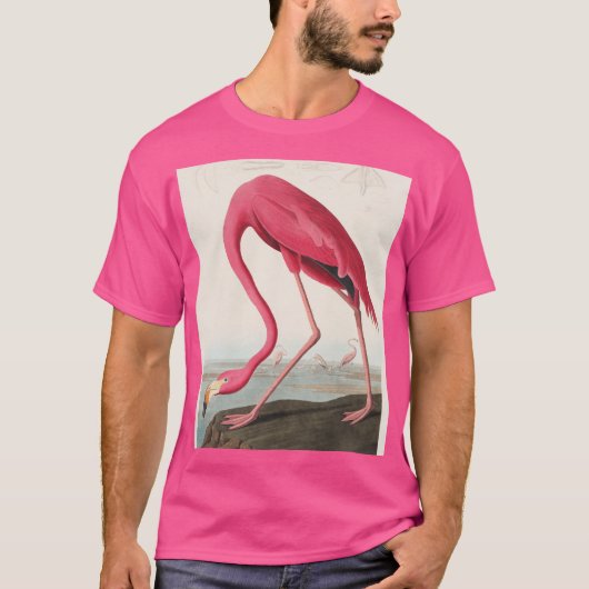  roze flamingo audubon t-shirt (Voorkant)