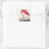 roze flamingo audubon vierkante sticker (Tas)