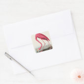roze flamingo audubon vierkante sticker (Envelop)