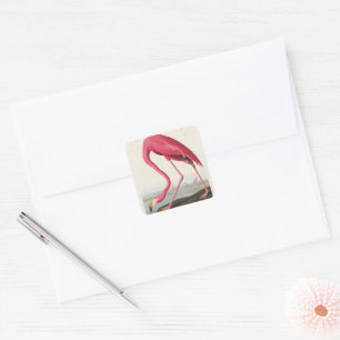  roze flamingo audubon vierkante sticker