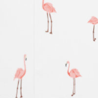 Roze Flamingo