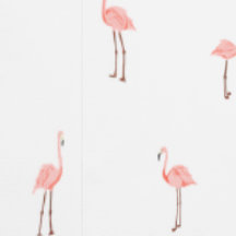 Roze Flamingo