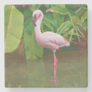Roze Flamingo bij het meer in Florida Stenen Onderzetter