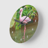 Roze Flamingo bij het meer Ronde Klok (Hoek)