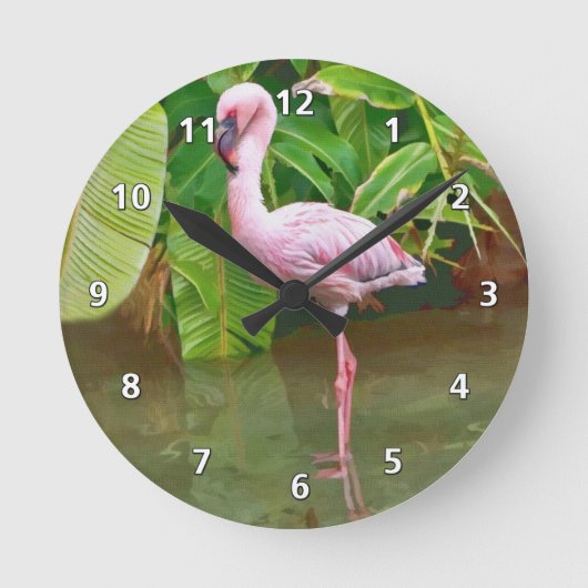 Roze Flamingo bij het meer Ronde Klok (Voorkant)