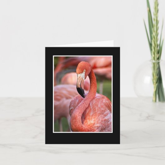 Roze Flamingo Blank Note Kaart (Voorkant)